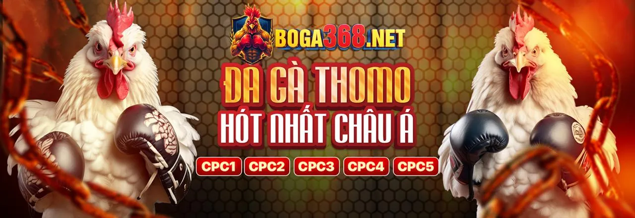 Sàn đấu gà 88 trực tiếp thomo hôm nay