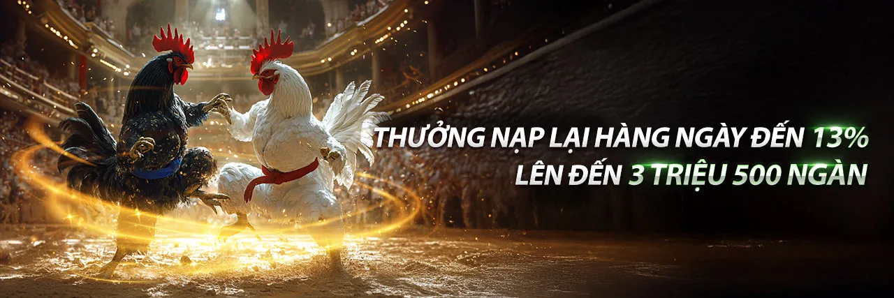 Khuyến mãi Gà 88 - Ưu đãi đá gà trực tiếp thomo 88 hôm nay